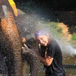 Kendra Pollard, Thailand